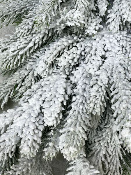 Декоративна гірлянда з хвої лита засніжена Forest, зелений, 120 см Н02022 фото