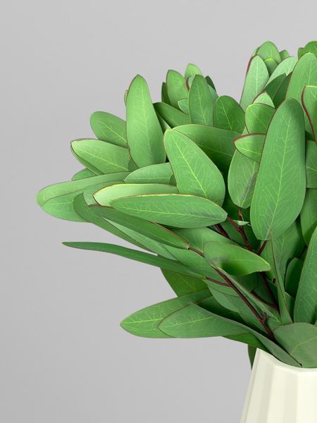 Штучний пучок евкаліпта Популус на 8 гілочок, зелений, 35 см Р03006 фото