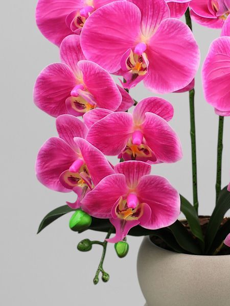 Настільна композиція з рожевих латексних орхідей на 2 гілочки у бежевому керамічному кашпо, висота 55 см А383 фото