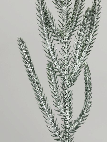 Штучна хвойна гілка Araucaria з напиленням, зелений, 37 см Н03033 фото