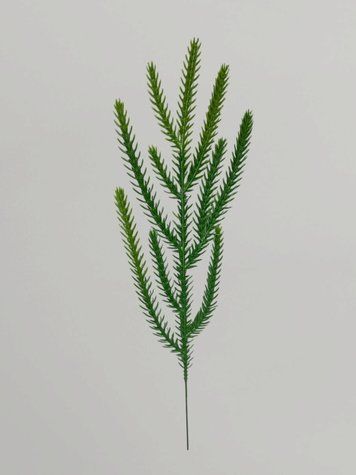 Искусственная хвойная ветка Araucaria с салатовыми кончиками, зеленый, 37 см Н03034 фото